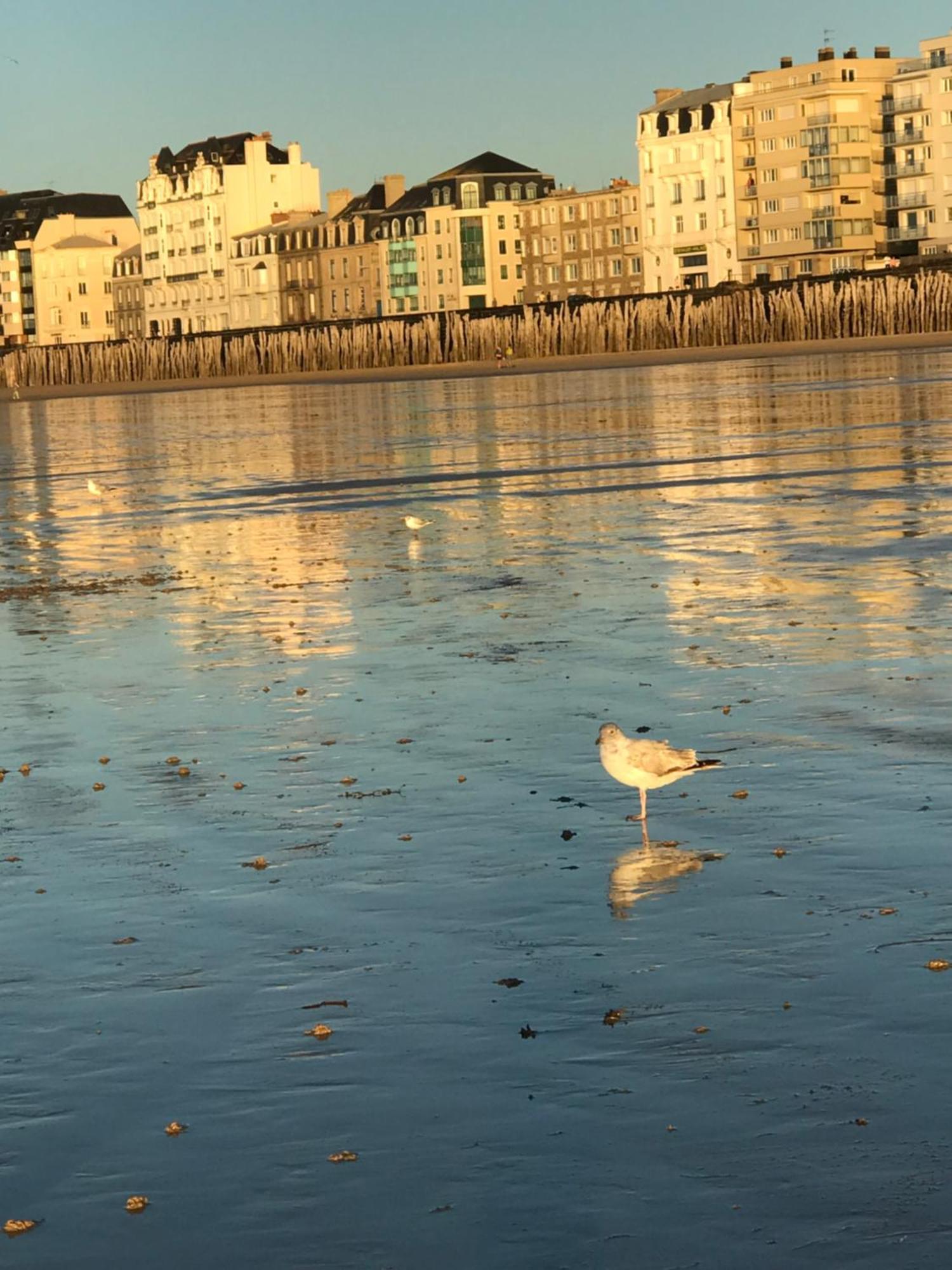 Grand Appartement Bretagne Saint Malo Intra Muros Eksteriør billede